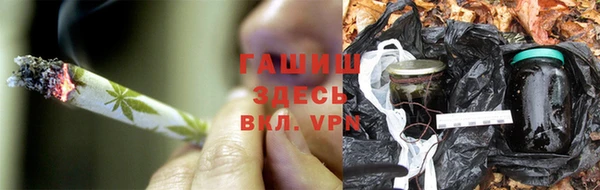 шишки Армянск