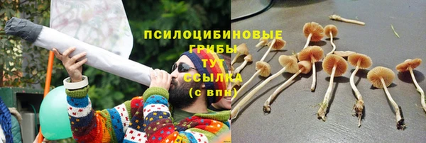 шишки Армянск