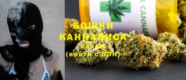 шишки Армянск