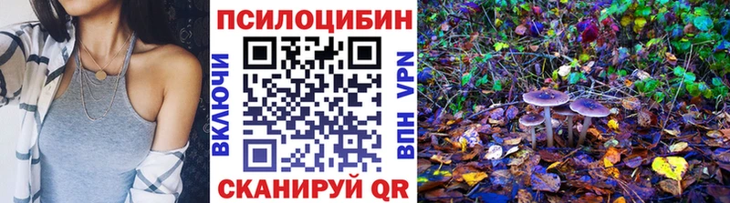 нарко площадка телеграм  Сорск  Галлюциногенные грибы Cubensis 